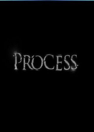 Process (2011)  