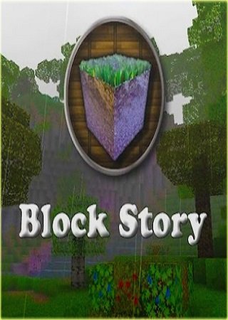 Block Story (2013)  