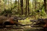 Земля аллигаторов (2013) DVDRip