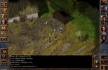 Baldurs Gate: Enhanced Edition [v.1.3.2053] (2012)