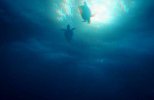 Большое путешествие вглубь океанов 3D: Возвращение (2009) BDrip 1080р