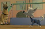 Белка и Стрелка: Звездные собаки (2010) DVDrip